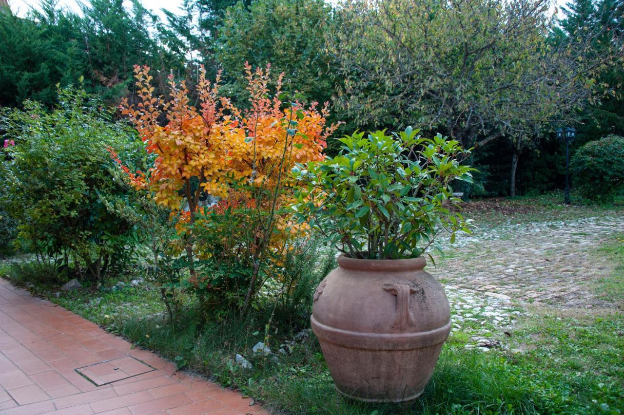 Antico Borghetto -