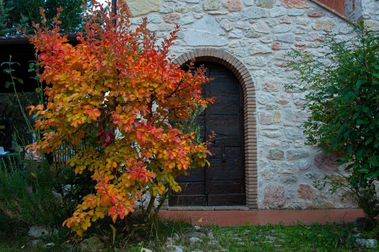 Holiday home Antico Borghetto - Norcia